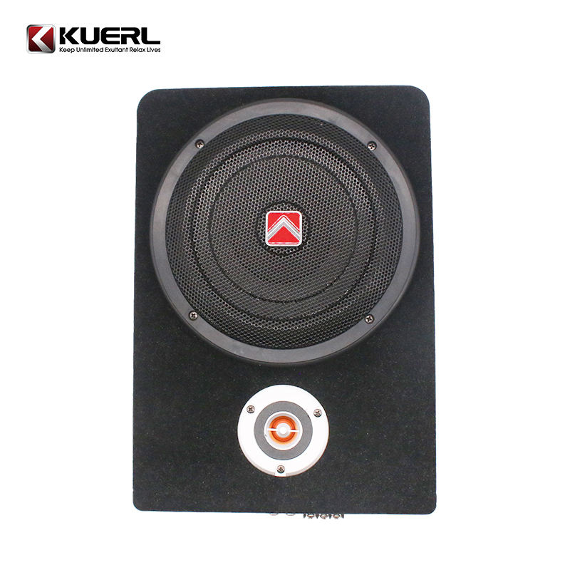 Hot Sale Car Audio Under Seat  - Under Seat Subwoofer Slim 8 Inch recension och pris