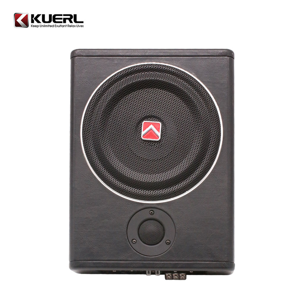 Portable 12v Mini High Power U - Under Seat Subwoofer Slim 8 Inch recension och pris