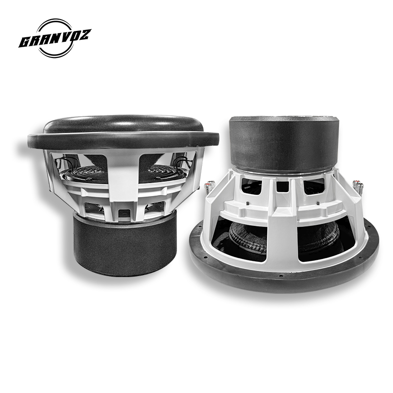 12-Inch Dual 2OHMS Car Subwoof - Car Subwoofer 12 Inch 1500W recension och pris