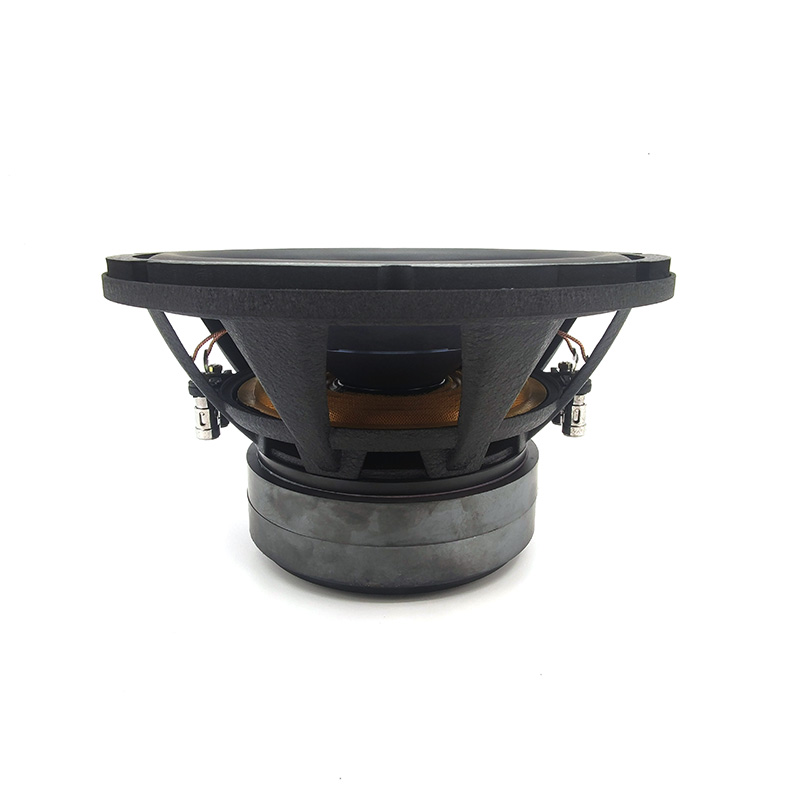 Factory Wholesale Strong Bass  - Car Audio Subwoofer 10 Inch Dvc recension och pris